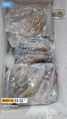 5월24일 한치조황!  오늘도 열심히 달려보겠습니다~^^
