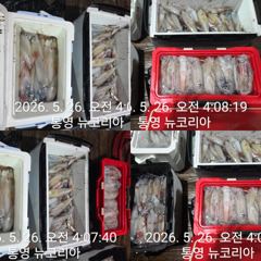계속 먹물왕대포한치 집고 이기자!!!