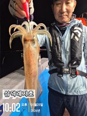 [한치]싸이즈"끝장"대포한치,대,중소,마리수(금요일,출항확정)