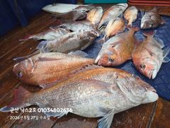 5.27 닉스2호 참돔타이라바 조황 5분!!