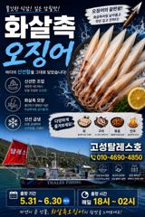 화살촉오징어 출항 공지