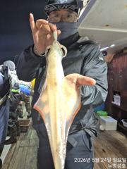 먼바다대포한치출조합니다(토ㆍ일요일)자리여유있습니다