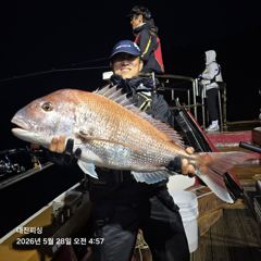 5월28일 83cm 조황입니다~~