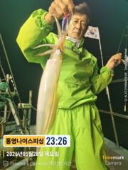 통영나이스피싱!! 왕한치 오늘 200수  도전   몇자리여유