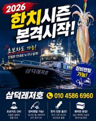 [한치]씨알.마리수 아쉬운,조황(일요일,출항확정)