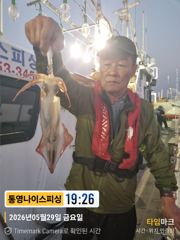 통영나이스피싱  왕!왕한치  콧물없이 중치급들이 오늘자리여유