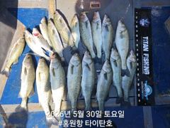 5/30 홍원항 타이탄호 농어 외수질