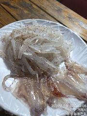 오늘도 한치! 자리여유 야리이까가..