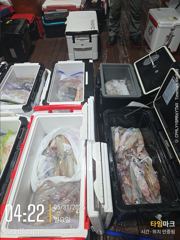 미사일[한치~한치]싸이즈가~끝내줍니다~오늘은여기까지[월.수]예약가능