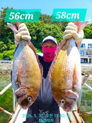 [통영 선외기 태성레저]참돔 꼬라박기 62/58/56/55/54외 주말(30일,31일)조황