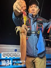 [한치]대포한치,대,증,소,조황(수요일부터,출항)