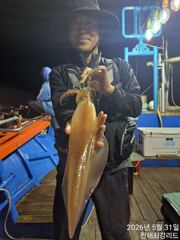 대포 한치~한치 쌍걸이 청기백기(오늘예약가능