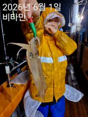 한치 비가 와도 1타 2피 활성도 굿~