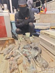 거제 뉴새바다호 한치 쿨러조황입니다  오늘 내일  예약됩니다