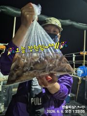 6월 5일 낙지조황
