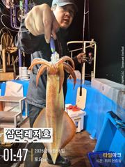 [한치]대포한치 새벽피딩 너나너나.장원80수(일요일 출항)