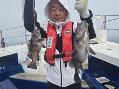 6월6일 우럭조황