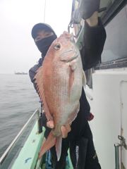 해진호 6월 6일 참돔 조황