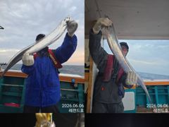 레전드피싱 녹동항에서 소수인원 모시고첫갈치출조다녀왔읍니다
