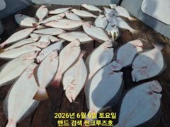 6일 썬크루즈호 15분 광어 다운샷 조황입니다