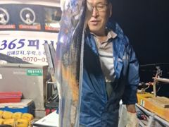 여수365피싱//7일한치,갈치 출조다녀왔네요//수.목.금.토.일.자리널널합니다// 예약문의: 010-9070-0365