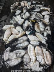 짤막한 피딩