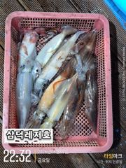 [한치]한치,"터졌다"오늘,황제낚시,가실분(오늘15시출항확정)