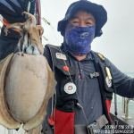 26년5월28일 홍원항 백두산호 봄 왕갑오징어 조황입니다..