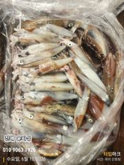 윤피싱 오늘도 한치 이만큼 잡고 왔습니다