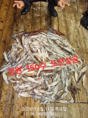 한치 쏟아집니다     장원이150수로 쏟아지고 있습니다   일요일6자리여유   오징어도 많이 나옵니다   쿨러가득 채우러 가실분들 미리미리 연락주세요.  잘 나올때 가봅시다 