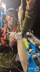 ((왕대포한치))오늘 청기백기 난타전 오늘오후3시(예약가능자리완전텅텅 