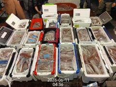 아쿠아호 야리 초대박!200수200수!밤새도록 피딩!화욜부터 예약가능 