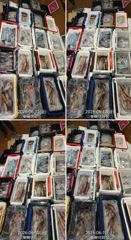 "대포왕한치"계속되는 호조황!!약속의시간...약속잘지키는한치!!오셔서마니잡아가세요~