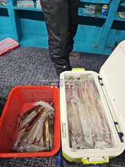 [통영대교피싱]올해 한치장만 끝내버려요~ 다음주 수요일부터 자리여유