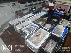 쌍걸이 미사일[한치~한치]12일입항 오늘은 요만큼[월요일부터]예약가능