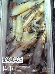[한치]쌍걸이.쓰리걸이.더불히트(일.월.화..예약중)