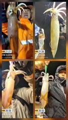 6월12일 한치조황!! 오늘도 달립니다~ 소수인원이라도 출항합니다~전화주세요
