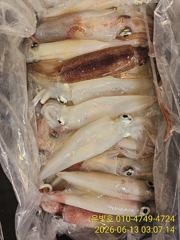 한치 매일 호조황!! 월요일부터 예약가능