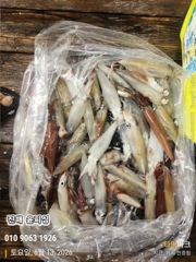 윤피싱 계속되는 한치 호조황입니다
