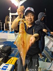 6월14일입항 대포한치 조황소식 입니다 
