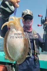 14일, 대포알 갑오징어~싸이즈 굿~~"야간갑오징어 오늘도 출조합니다"~군산 나드리호