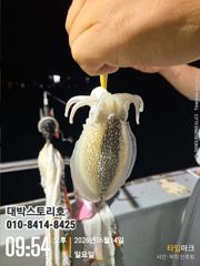 화살촉오징어~ 초대박 우당탕 청기백기, 느나느나~