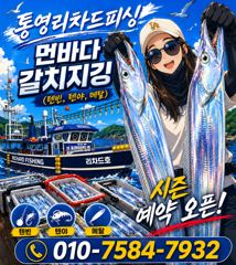 6/15 한치 입항조황입니다 ~ 통영권 한치입성~ 수,목요일 소수인원 출항합니다~