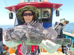 15일, 생미끼~빵빵한 대광어~우럭등~싸이즈 굿~내일도 갑니다~군산 범고래호