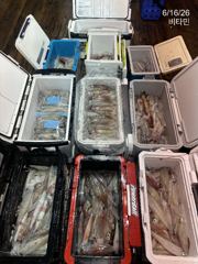 한치 먹물 파티 오늘도 고고고~.오늘, 내일 예약가능