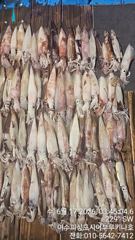 16일 먼바다갈치 한치 조황 입니다.내일 한치 정상 출조 합니다.자리 여유..여수피싱도시어부 16석 루키나호 