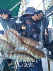 16일,신발짝 갑오징어~싸이즈 굿~"오늘도 야간갑오징어 오늘도 출조합니다"~군산 포세이돈호