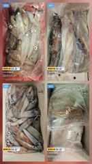 6월17일 한치 조황! 늦게까지 하고 아직 입항중!!오늘 6자리여유~ 시간되시면 놀러오세요~