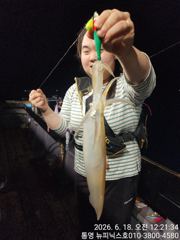 한치 18일 입항조황입니다 목,금 예약가능
