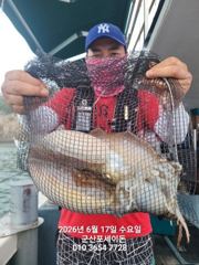 17일, 신발짝 갑오징어~싸이즈 굿굿~"오늘도 야간갑오징어 오늘도 출조합니다"~군산 포세이돈호